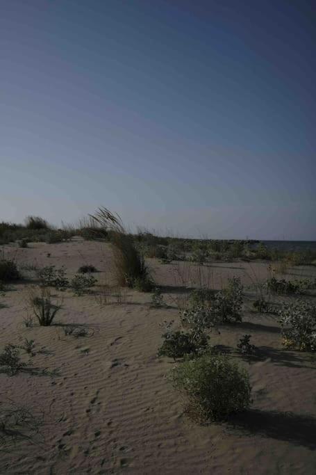 Casa Vacanze كامبومارينو المظهر الخارجي الصورة
